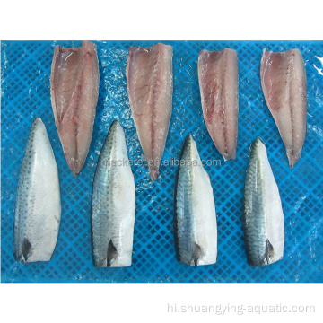 कम कीमत में चीनी जमे हुए मछली मैकेरल पट्टिका